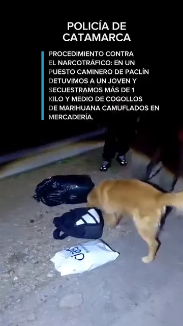 AQNtSo7jKB5lTwnusz3LQa1cfEGMSwCmh2Cpj7gNr_3NMgNJDZqKBgG3vENQWqbUMpDLBZZKFHze-LkDMXgTSp0P0GjW2lZgklyyO-Bc3kOK5g