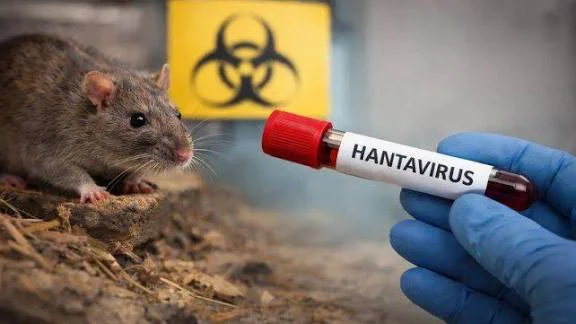 hanti
