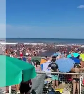 LA-NACION_20260112_2~2