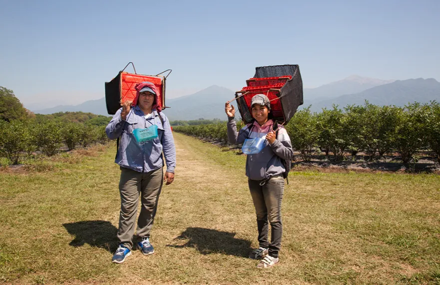 Screenshot_20251027-142820.Gmail