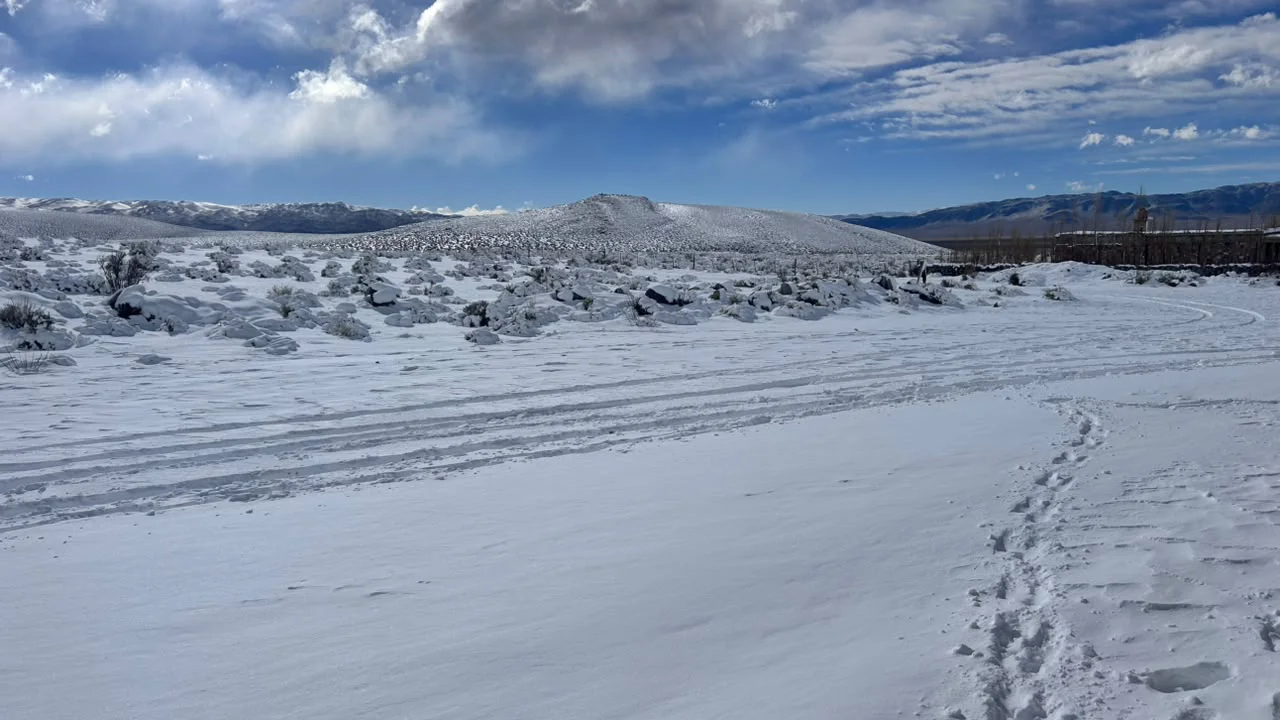 nieve