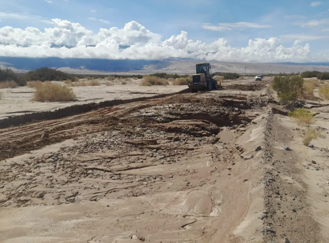 Screenshot_20251229-141522.WhatsApp