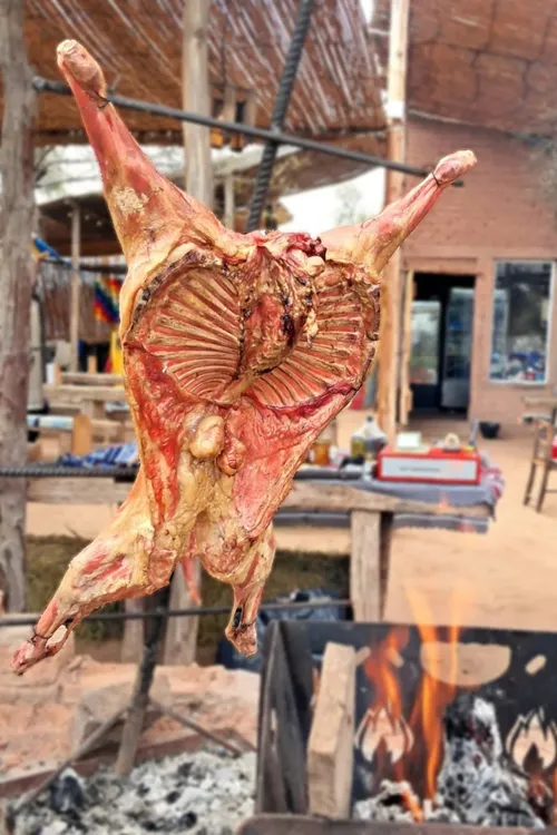 cabrito