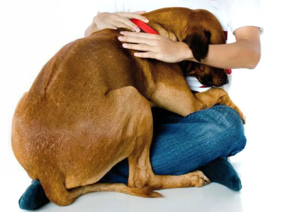 pirotecnia1-1024x688