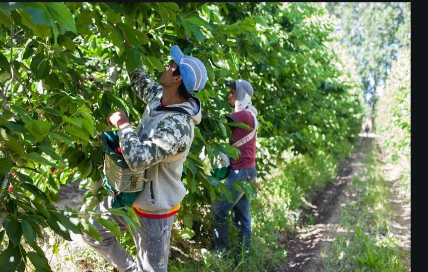 Screenshot_20260303-203520.Gmail