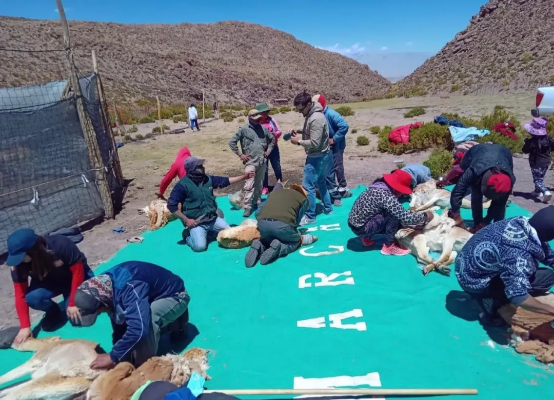 Screenshot_20251124-213310.Gmail