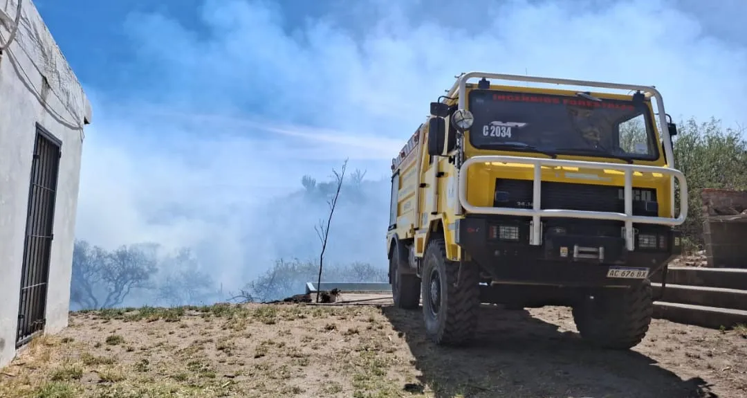 WhatsApp Image 2025-11-18 at 20.18.41