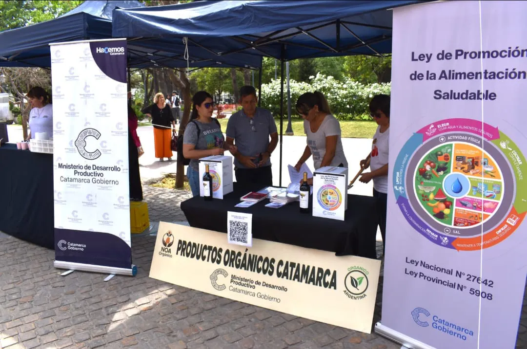 WhatsApp Image 2025-10-17 at 21.54.46