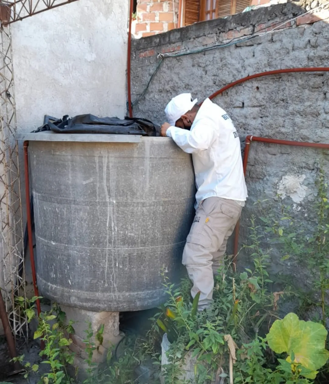 Screenshot_20250812-005417.Gmail