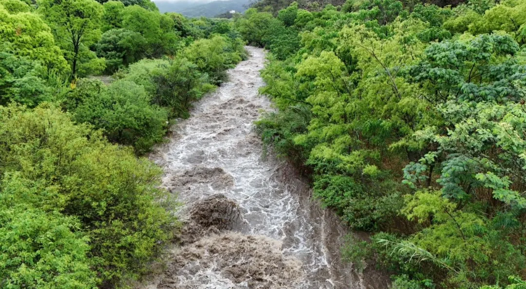 Screenshot_20260108-133907.WhatsApp