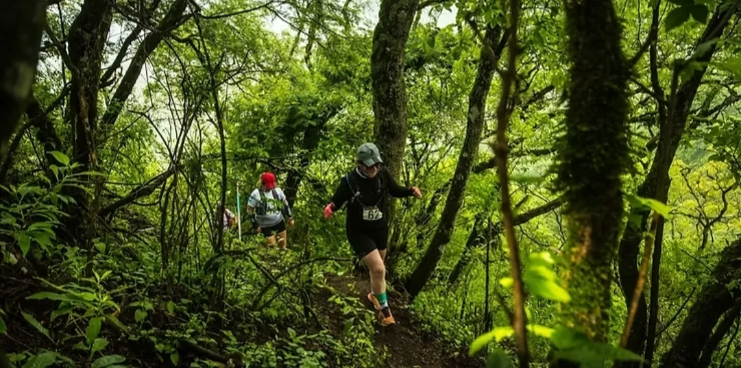 Screenshot_20260319-172836.Gmail