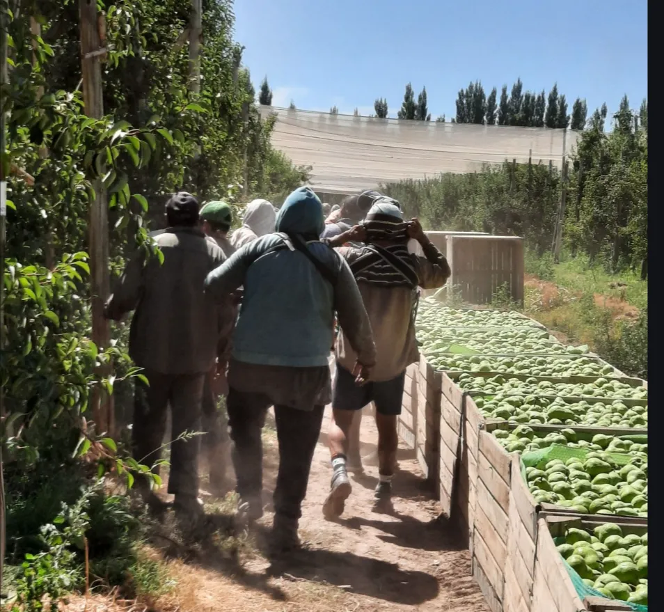 Screenshot_20260129-162721.Gmail