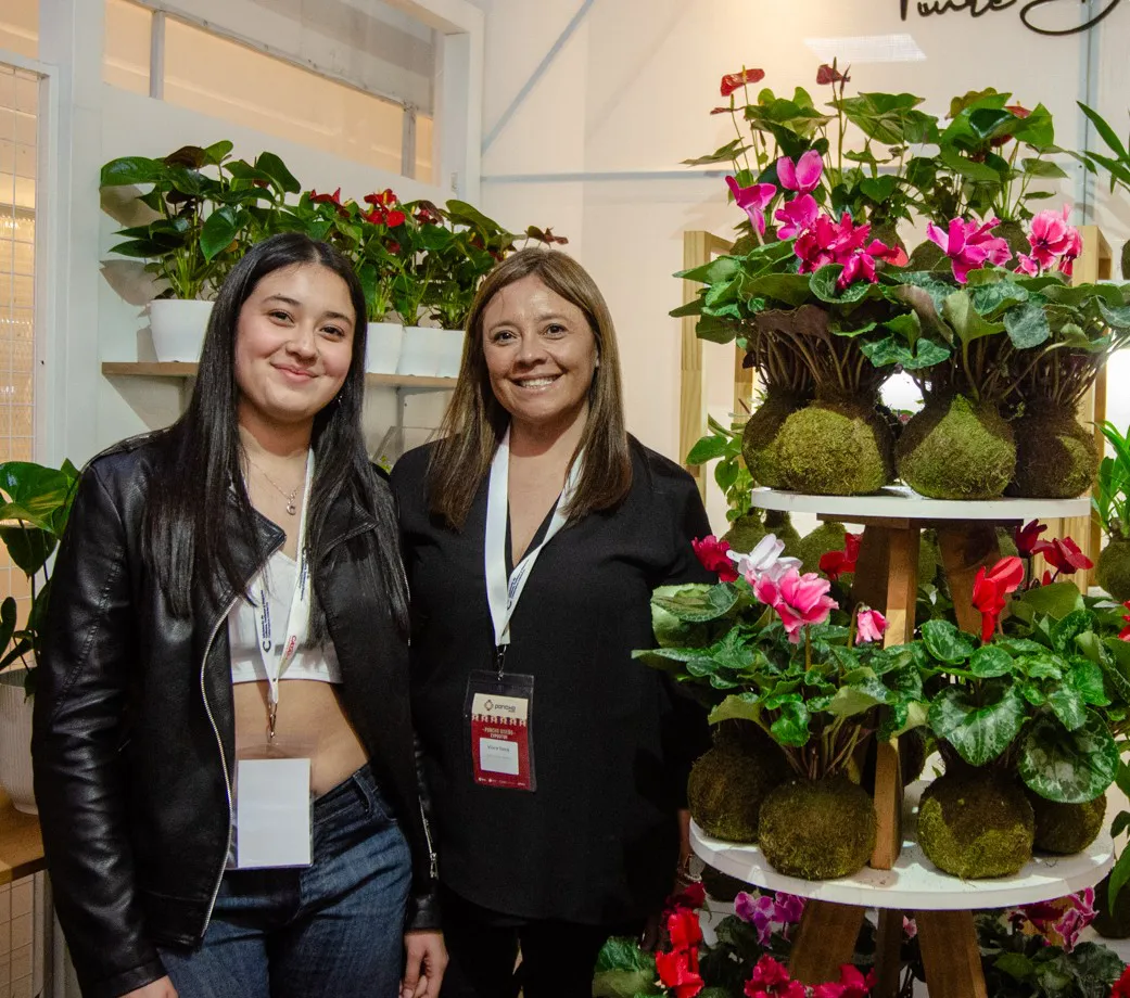 Deco Poncho Diseño (1)~2