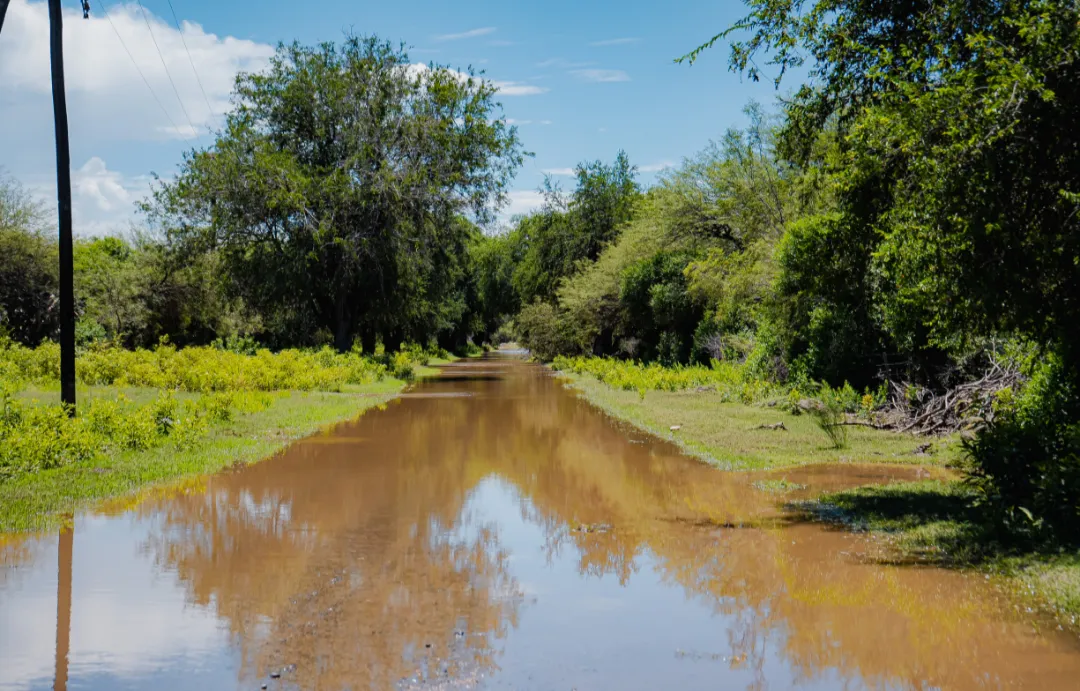 Screenshot_20260203-104258.Gmail