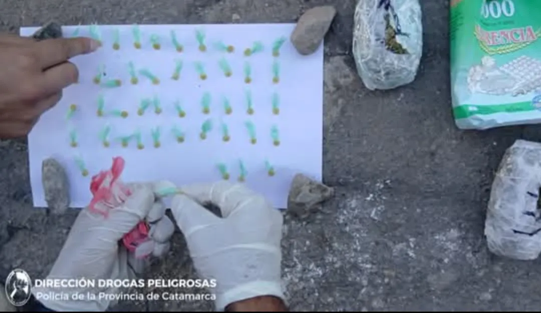 Screenshot_20251213-213150.Facebook