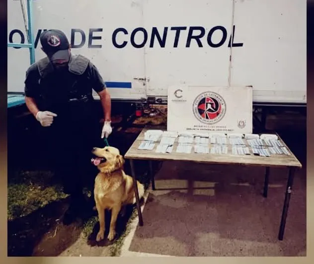 FB_IMG_1765321299800