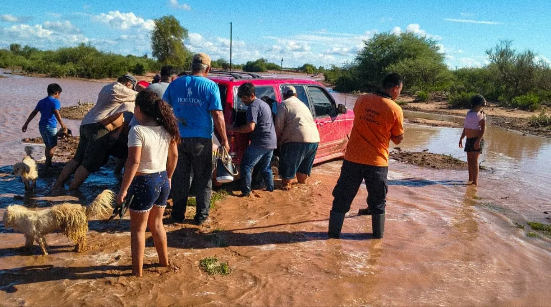 Screenshot_20260119-014903.WhatsApp