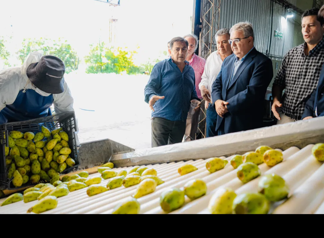 Screenshot_20260203-104512.Gmail