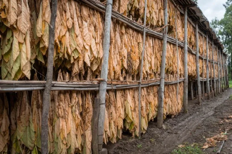 f768x1-284352_284479_5050