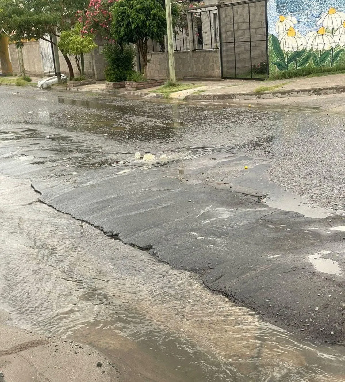 Imagen de WhatsApp 2025-12-08 a las 22.19.16_bb732b92