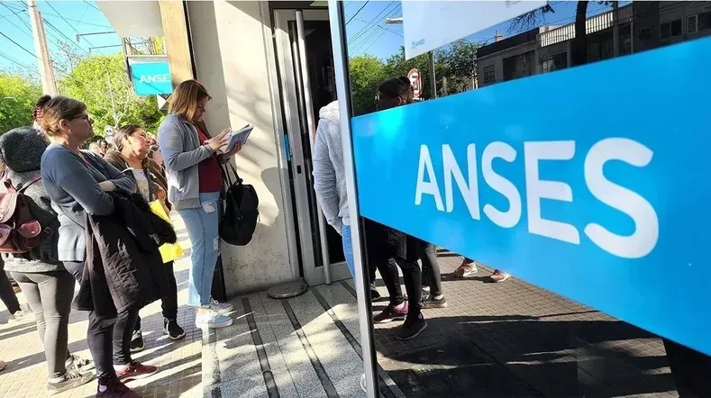 ANSES VV