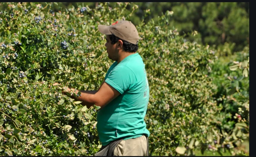 Screenshot_20251120-233449.Gmail