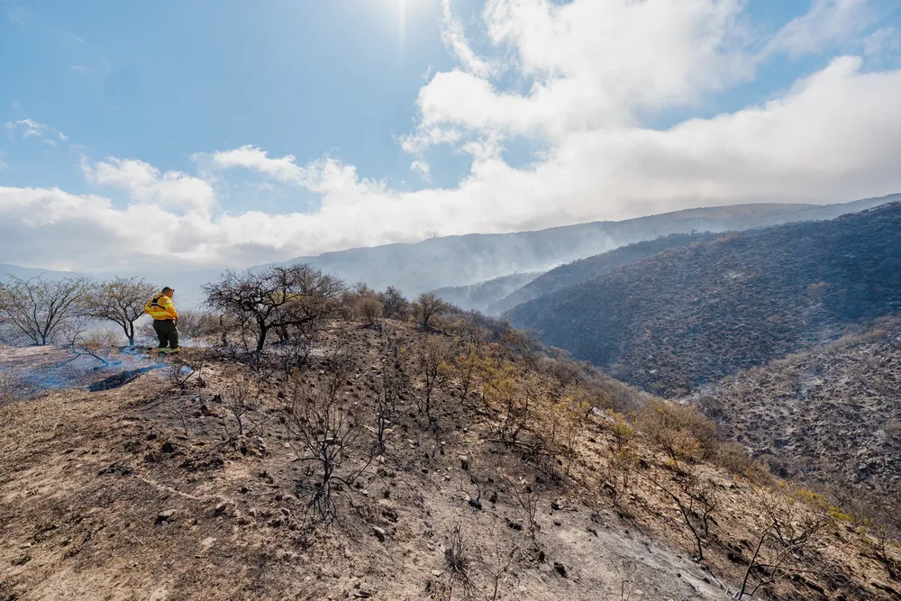El incendio en El Rodeo permanece contenido y bajo monitoreo permanente (2)