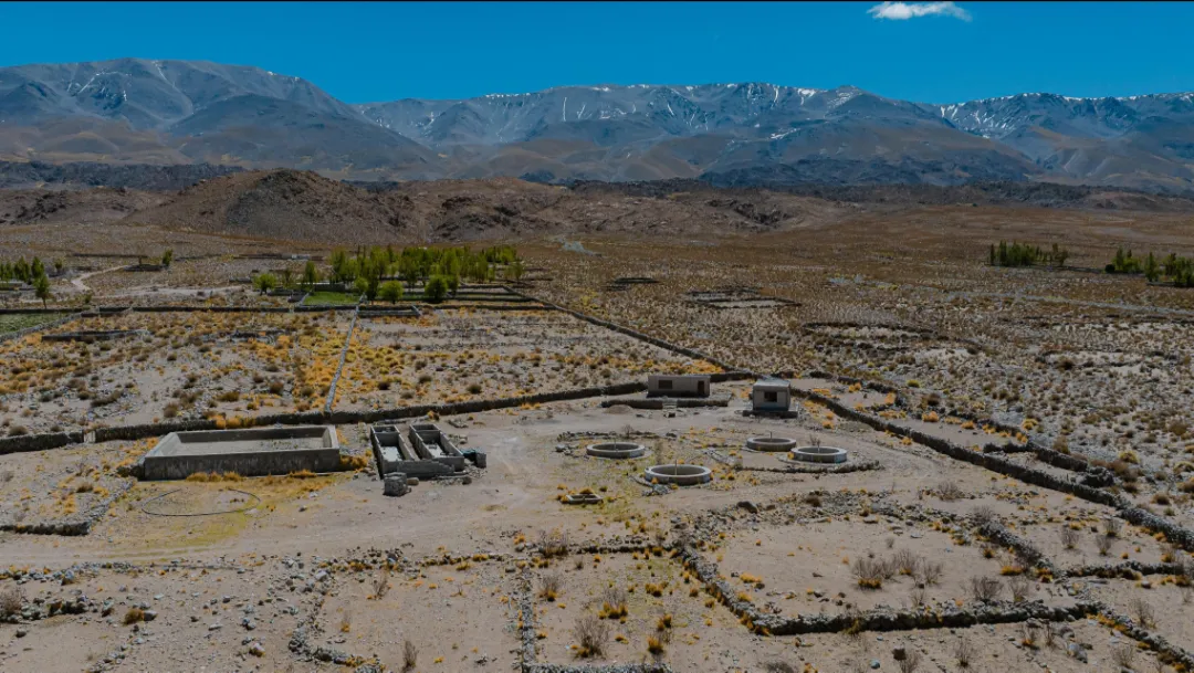 Screenshot_20251019-112754.Gmail